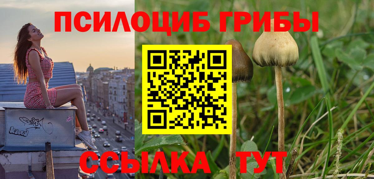 Псилоцибиновые грибы ЛСД  Галлюциногенные грибы мухоморы  Вход с VPN  Десногорск 